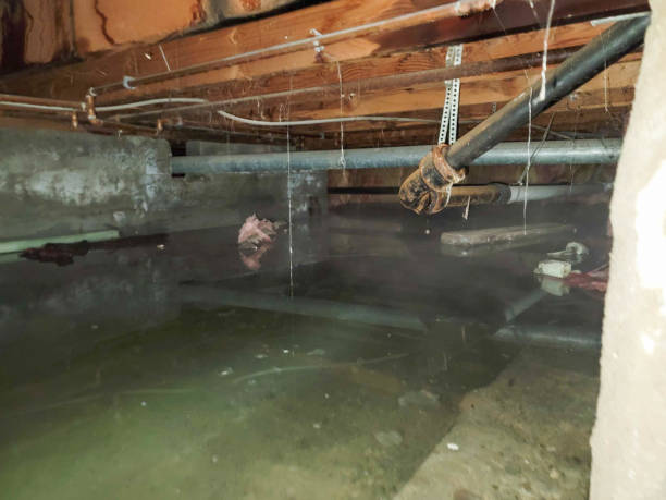 Best Water damage cleanup near me  in Montgomery, AL