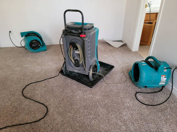 Best Sewage cleanup and water damage restoration  in Montgomery, AL