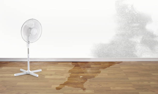 Best Water damage contractors near me  in Montgomery, AL
