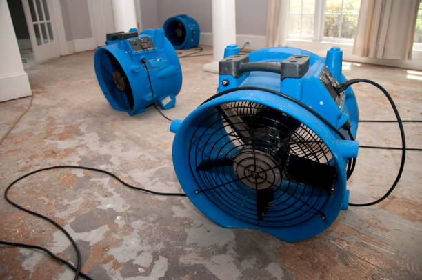 Best Flood restoration services  in Montgomery, AL
