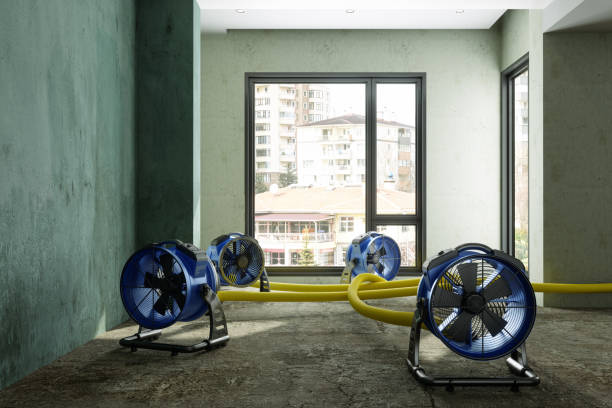 Best Fire Damage Restoration  in Montgomery, AL